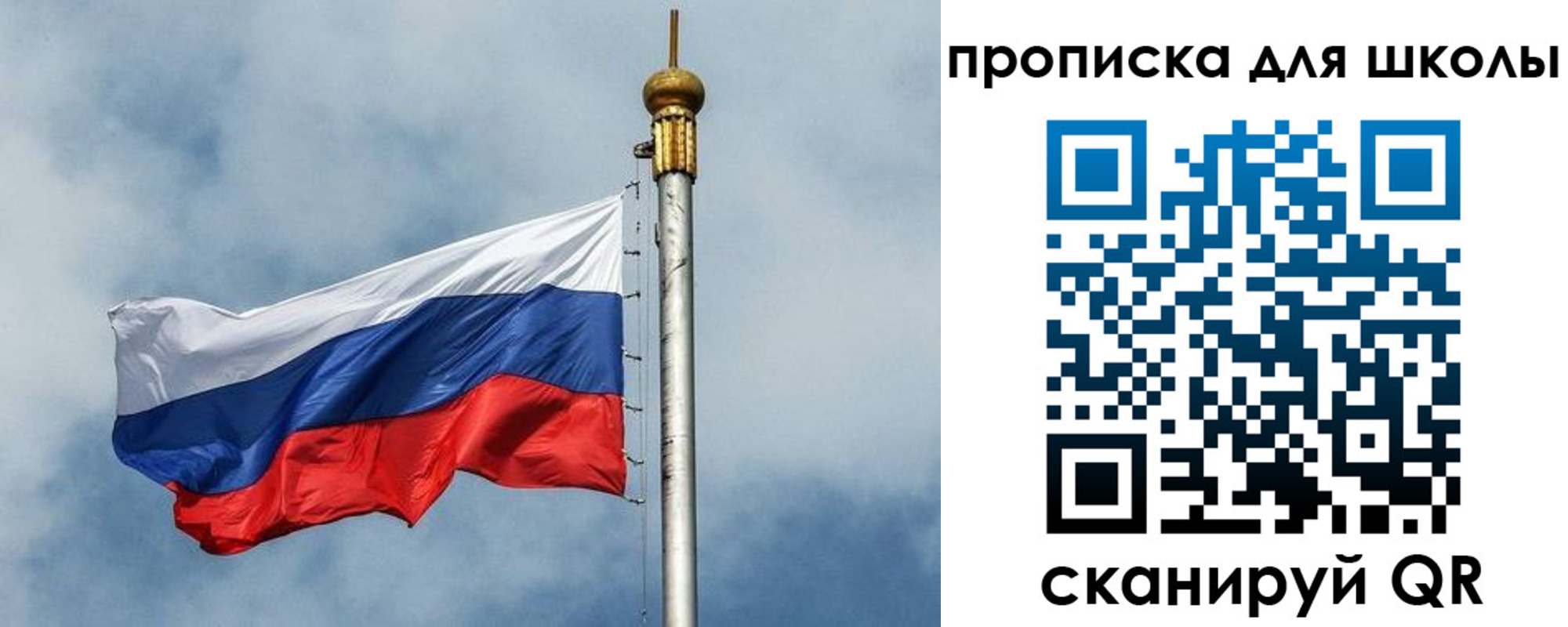 прописка в Новомосковске